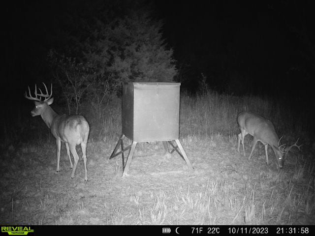 Should you run deer feeders on your property?